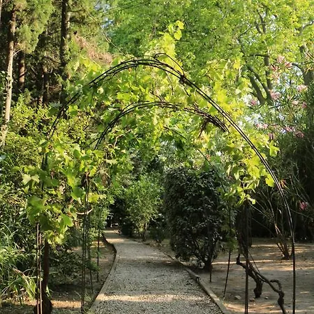Domaine Du Moulin Guest house *