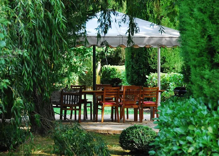 Domaine Du Moulin Saint-Laurent-des-Arbres